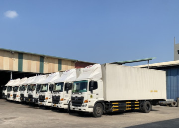 SƠN MÀU TRẮNG 2K